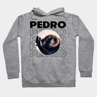 Pedro Raccoon Hoodie